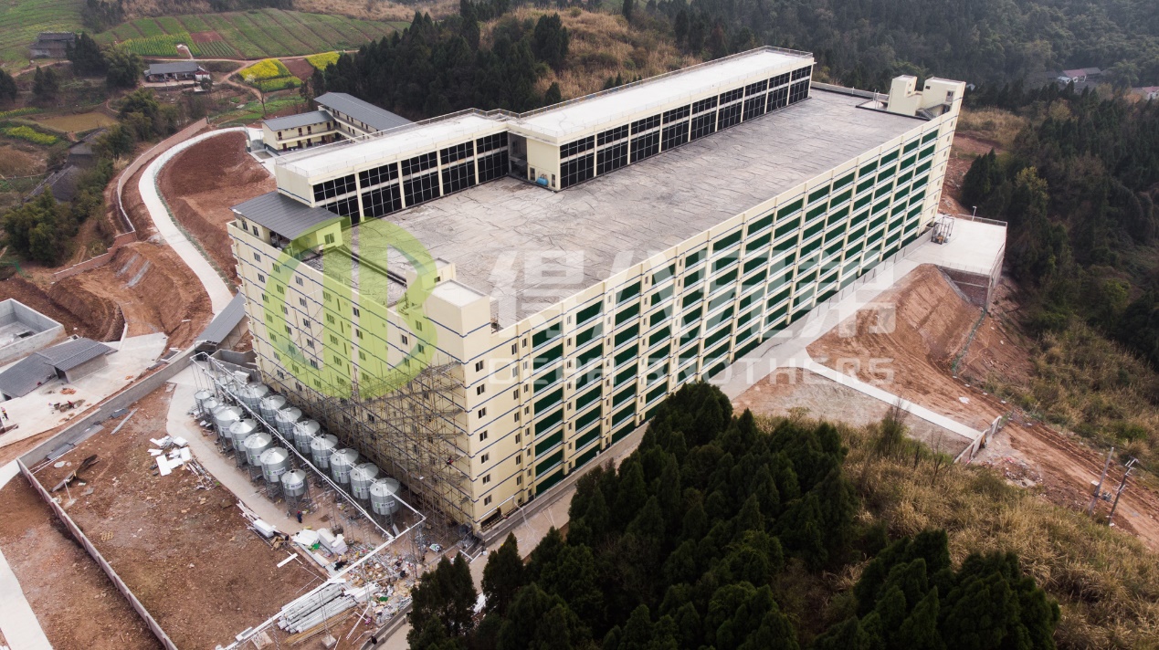 Hur man förbättrar miljökvaliteten i modern grisfarmsdesign