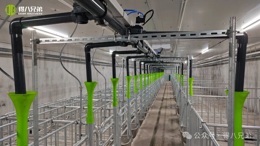 Deba Brother Licha Black Pig Avel och odling demonstrationsbas - Integrerad verksamhet av 2 000 suggor, 50 000 årlig slakt, 67 000 kvadratmeter